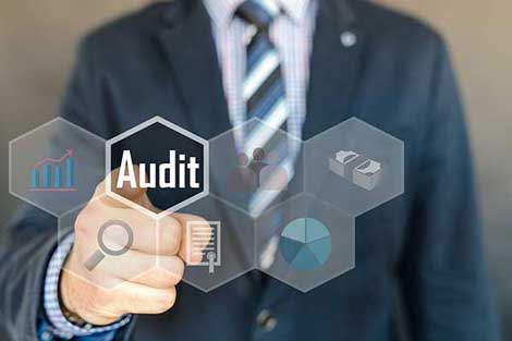 Internal audits goals