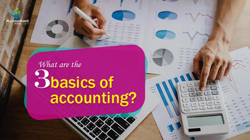 What are the 3 basics of accounting?